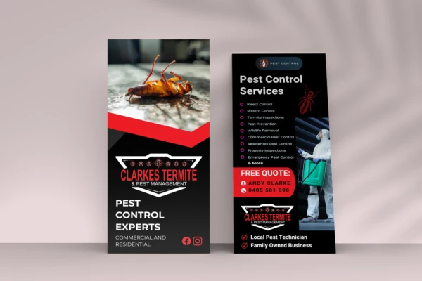 Flyer Design & Print - Image 3